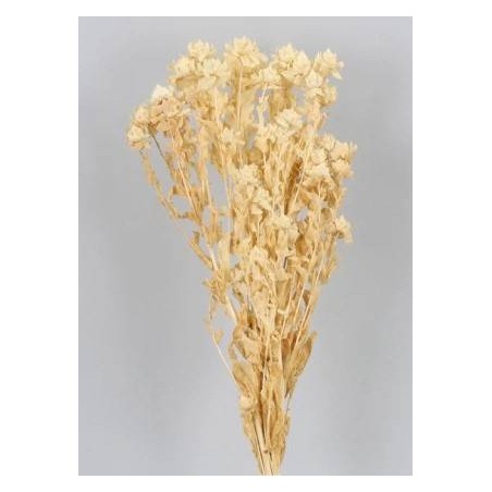 CARTHAMUS SBIANCATO BUSTA 100gr