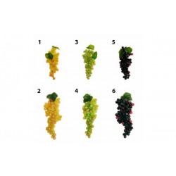 GRAPPOLO UVA GRANDE H.15cm VINACCIA