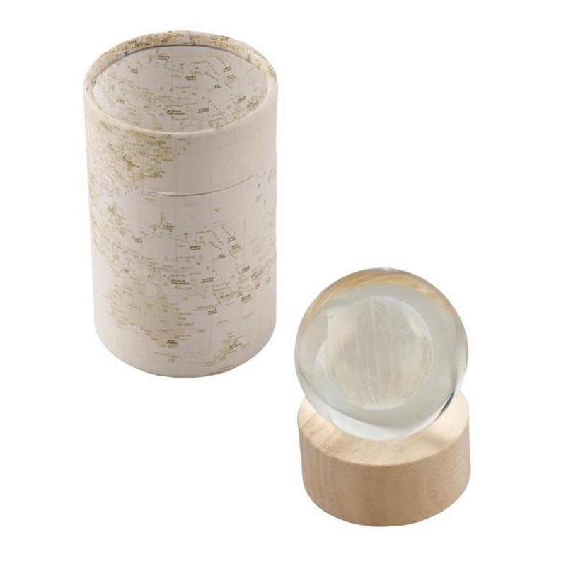 MAPPAMONDO CON ASTUCCIO