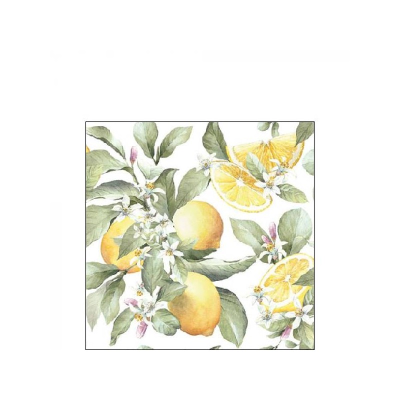 TOVAGLIOLI 25x25 HIBISCUS LIMONI 20pz