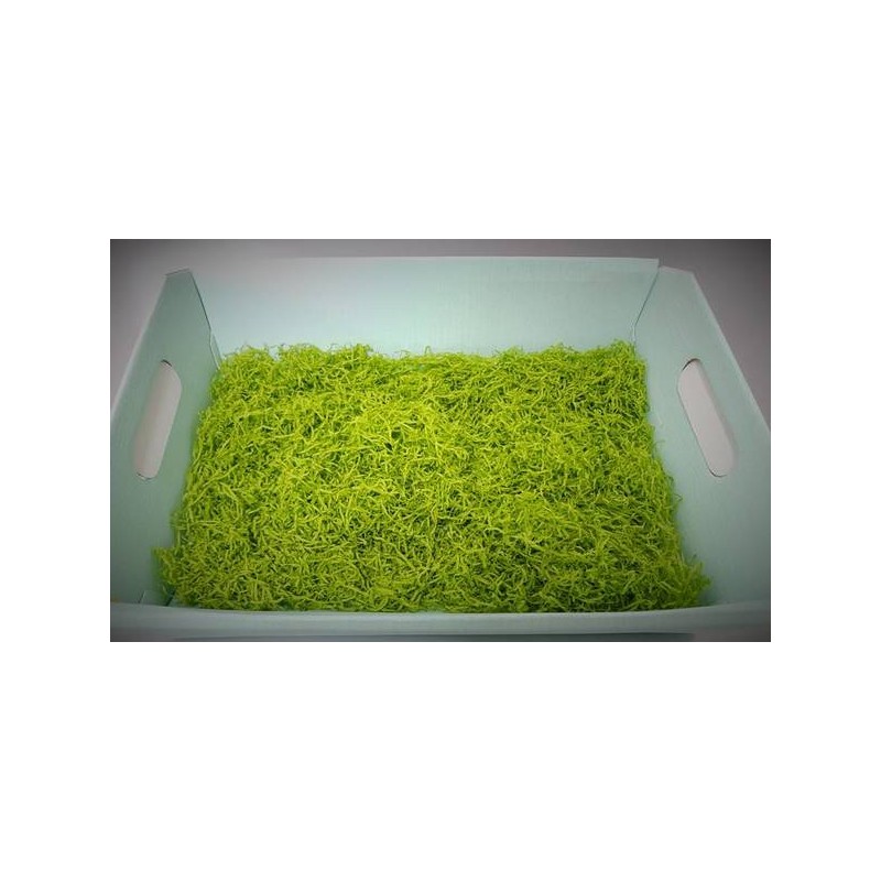 TRUCIOLO CARTA BUSTA 1kg VERDE CHIARO