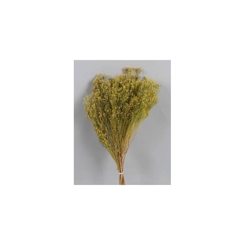 BROOM NATURALE BUSTA 100gr