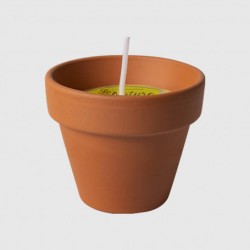 VASETTO CITRONELLA TERRACOTTA MINI ø6x7H