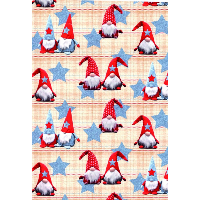 CARTA REGALO RASO CHRISTMAS 70x100 10 FOGLI COL.456B GNOMI
