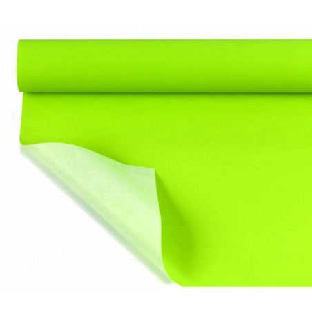 BOBINA CARTA WP KRAFT F/PIENO H.1x25mt 40-VERDE PASTELLO (resistente all'umido)