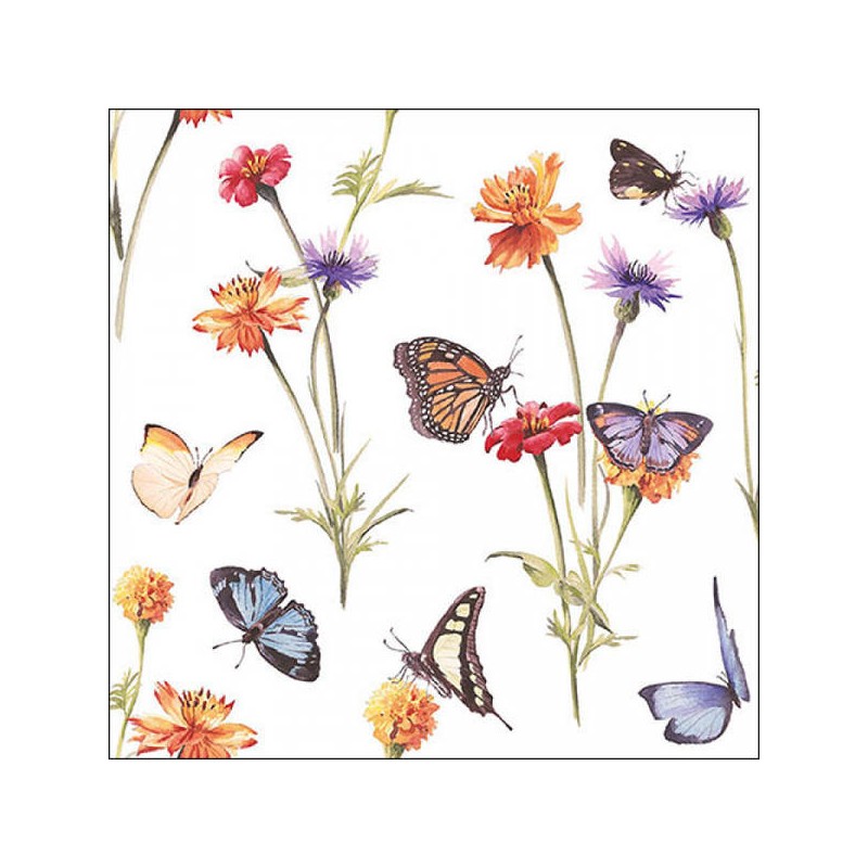 TOVAGLIOLI 33x33 BUTTERFLY GARDEN WHITE 20pz