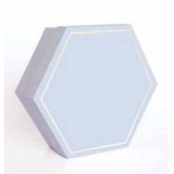 SCATOLA ESAGONALE C/DIVISORE INT. SEI SCOMPARTI 16x16x4cm ORO/CELESTE 5pz