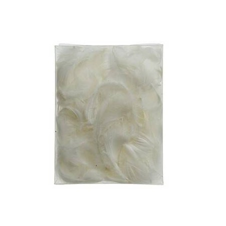 BUSTA PIUME BIANCHE 5gr