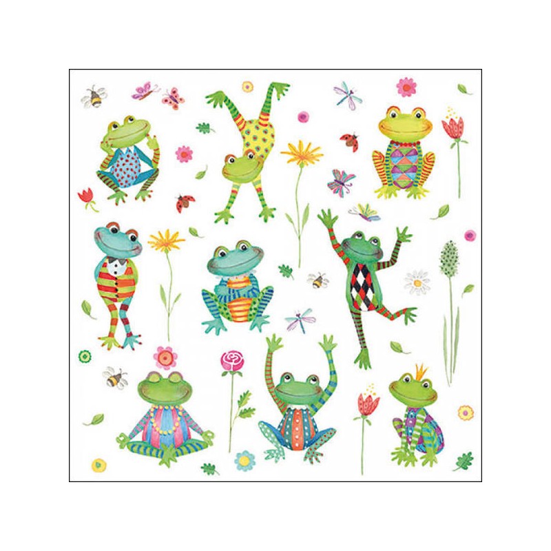 TOVAGLIOLI 33x33 RANE FELICI 20pz