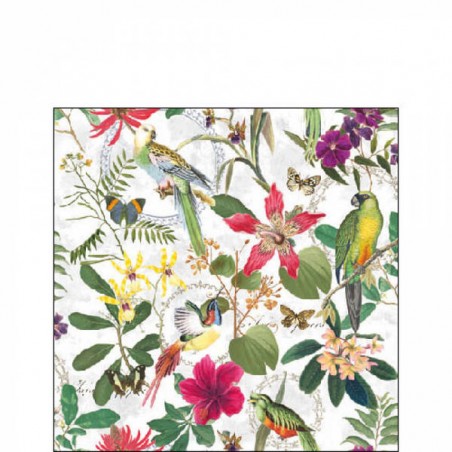 TOVAGLIOLI 25x25 TROPICAL JUNGLE 20pz