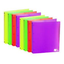 RACCOGLITORE AD ANELLI MY DESK FLUO 24x31cm