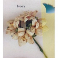 FIORE ROSA MAIS GRANDE AVORIO 3cm 6pz