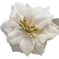 PICKS STELLA ø13cm 12cm CREMA 6pz