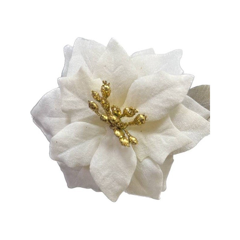 PICKS STELLA ø13cm 12cm CREMA 6pz