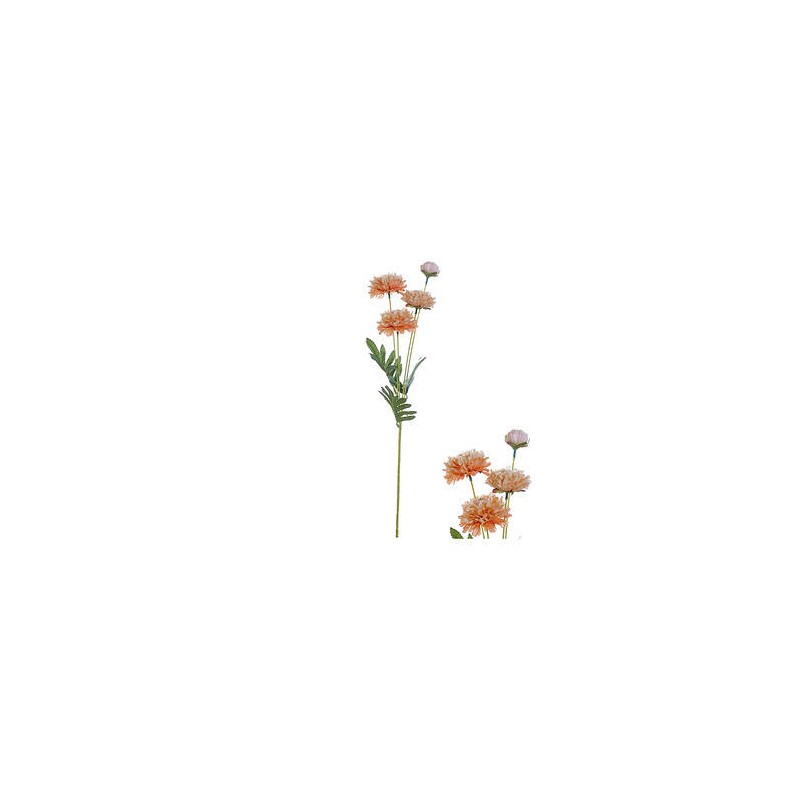 STELO 4 ZINNIANS ARANCIO 61cm