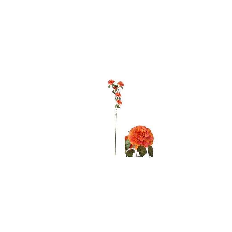 STELO RANUNCOLO ARANCIO 70cm