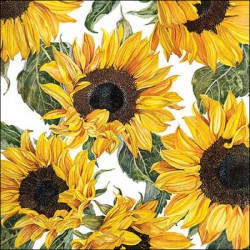TOVAGLIOLI 33x33 SUNFLOWERS BLOSSOMING 20pz