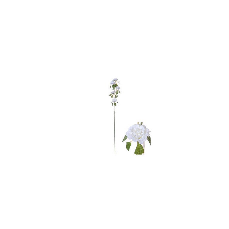 STELO RANUNCOLO BIANCO 70cm