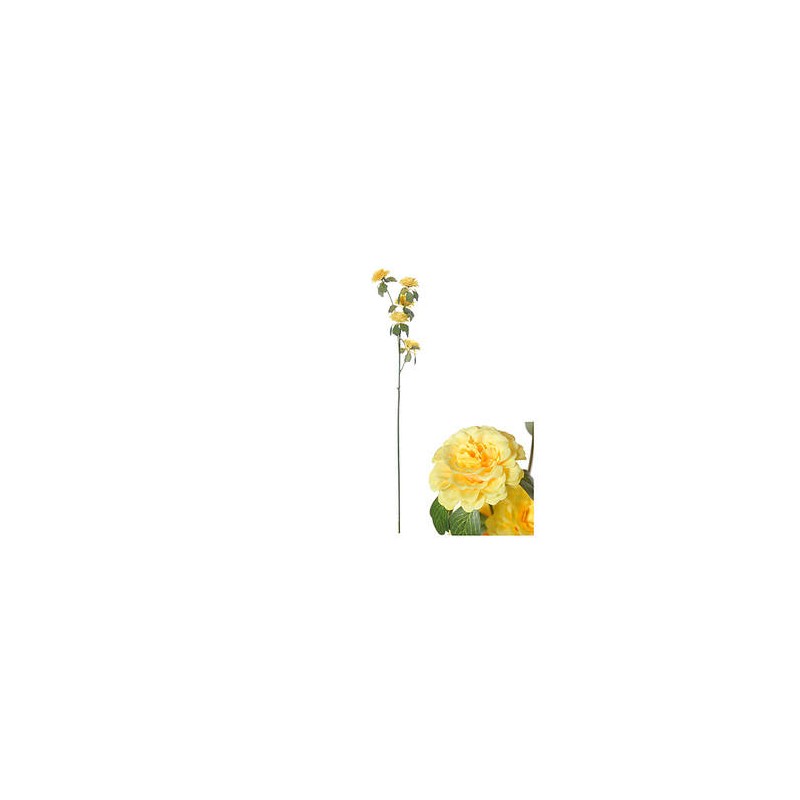 STELO RANUNCOLO GIALLO 70cm