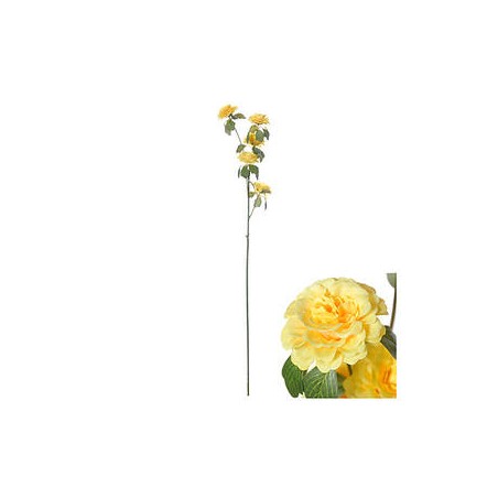 STELO RANUNCOLO GIALLO 70cm