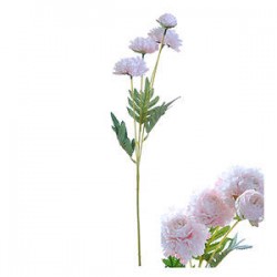 STELO 4 ZINNIANS ROSA CHIARO 61cm