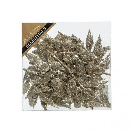 PICKS FOGLIE GLITTERATE IN BOX