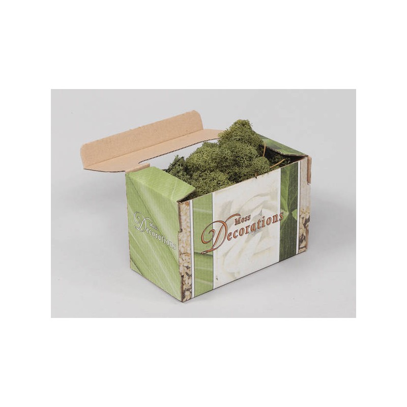 LICHENE FINLAND MOSS 50gr