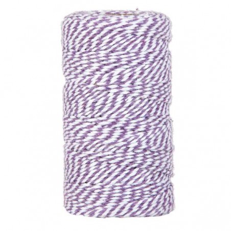 CORDINO BICOLORE mm2x100mt LAVANDA/ BIANCO