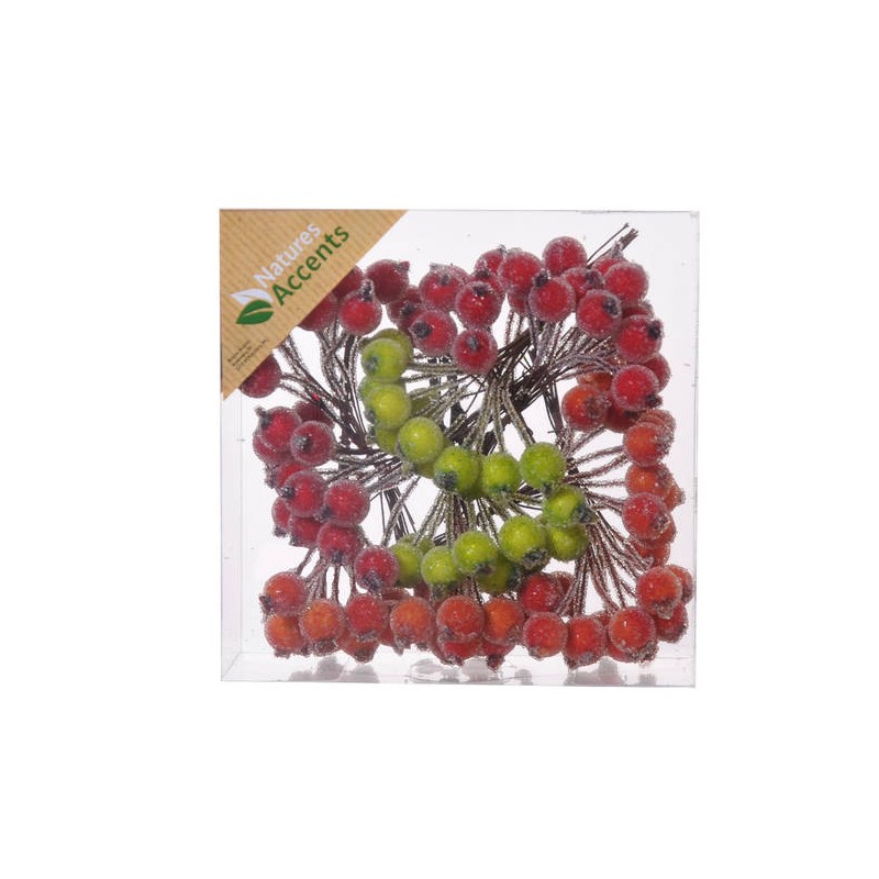 PICKS BACCHE GLASSATE IN BOX 1,2cm