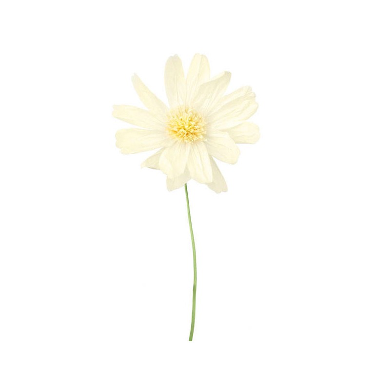 FIORE IN CARTA C/STELO 35x85cm BIANCO