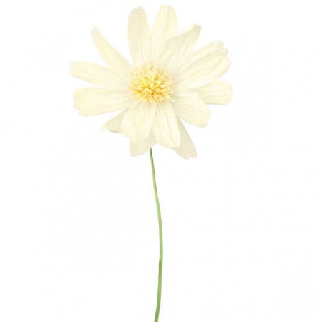 FIORE IN CARTA C/STELO 35x85cm BIANCO