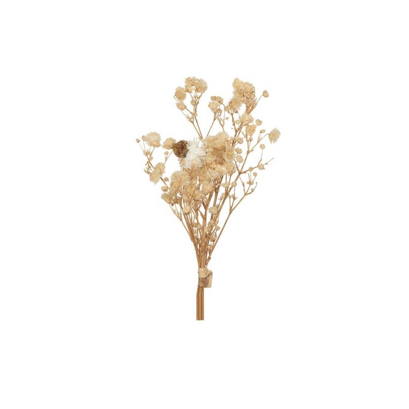 PICKS DRY FLOWERS H10cm CREMA