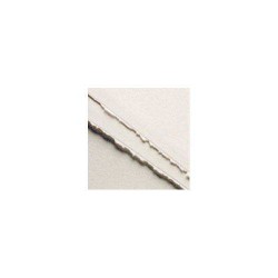 CARTONCINO ROSASPINA BIANCO 50x70cm