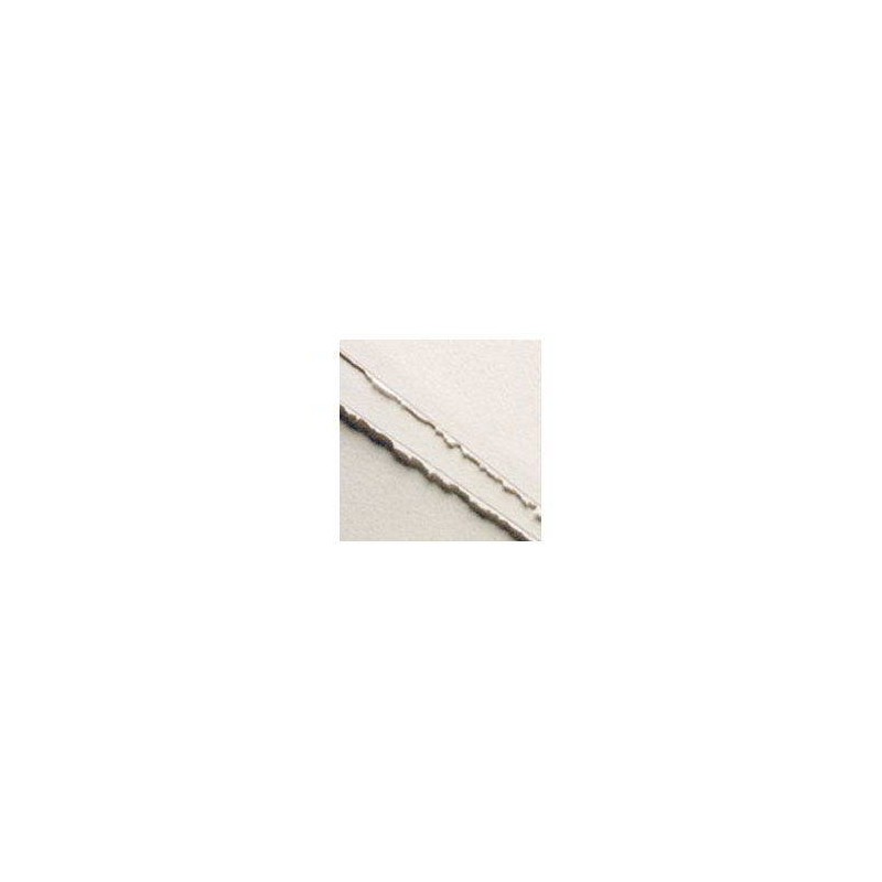 CARTONCINO ROSASPINA BIANCO 50x70cm
