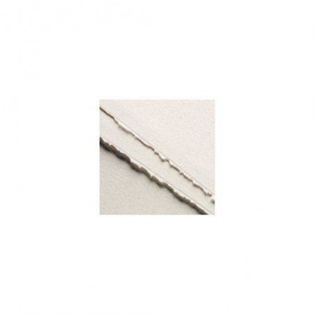 CARTONCINO ROSASPINA BIANCO 50x70cm