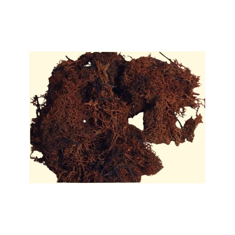 MUSCHIO LICHENE MARRONE BUSTA 30gr