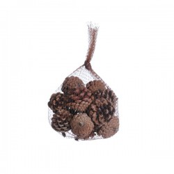 PIGNE NATURAL IN BUSTA 150gr