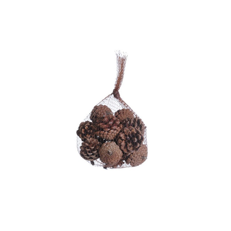 PIGNE NATURAL IN BUSTA 150gr