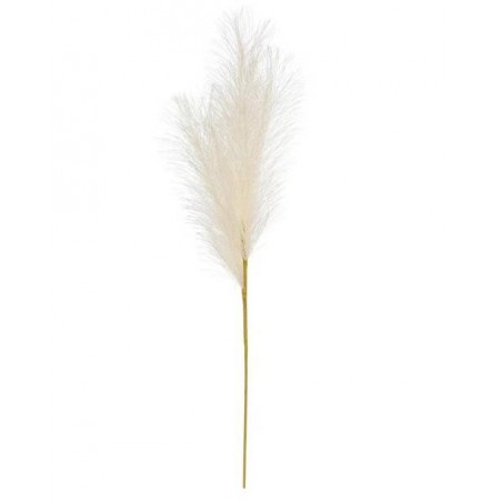 PAMPAS H60cm BIANCA