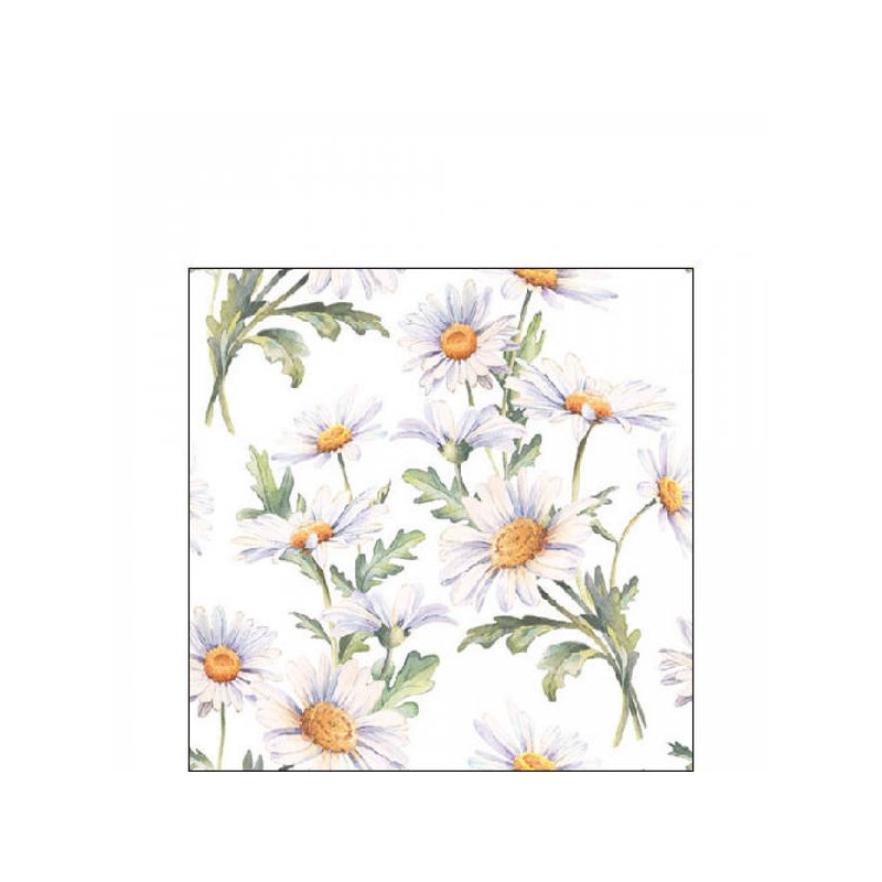 TOVAGLIOLI 25x25 MARGHERITE BIANCHE 20pz