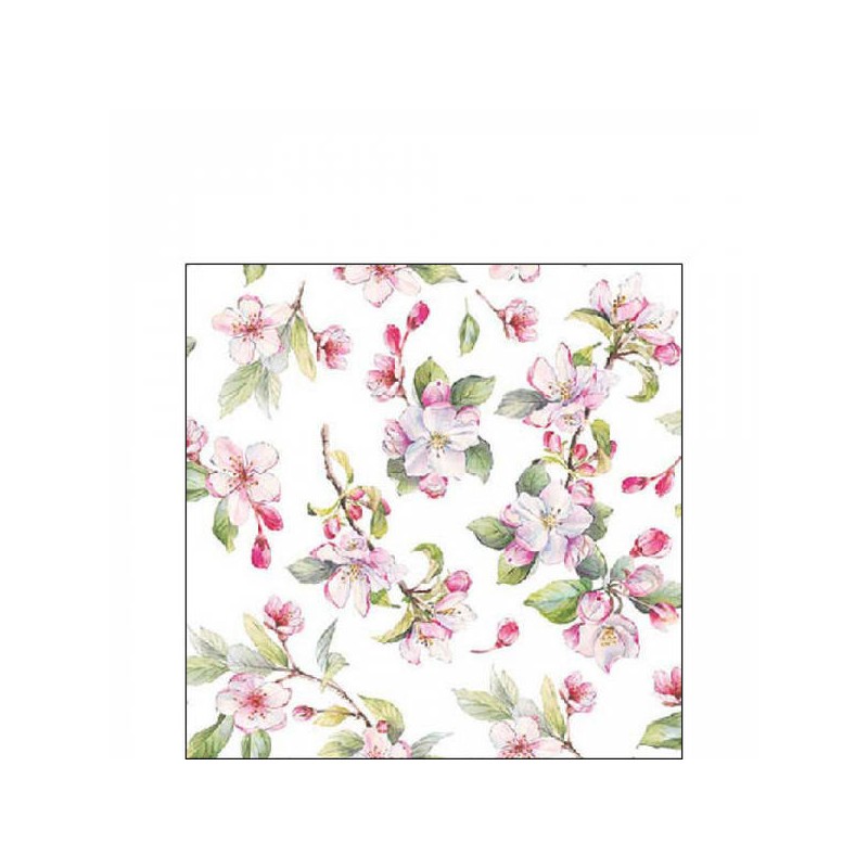 TOVAGLIOLI 25x25 BUTTERFLY GARDEN WHITE 20pz