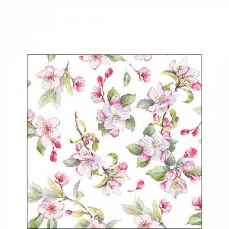 TOVAGLIOLI 25x25 BUTTERFLY GARDEN WHITE 20pz