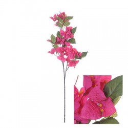 STELO BOUGAINVILLEA FUCSIA 76cm