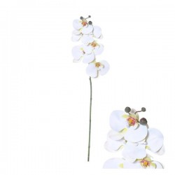 STELO PHALAENOPSIS BIANCO 80cm