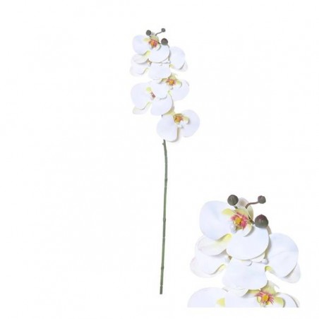 STELO PHALAENOPSIS BIANCO 80cm