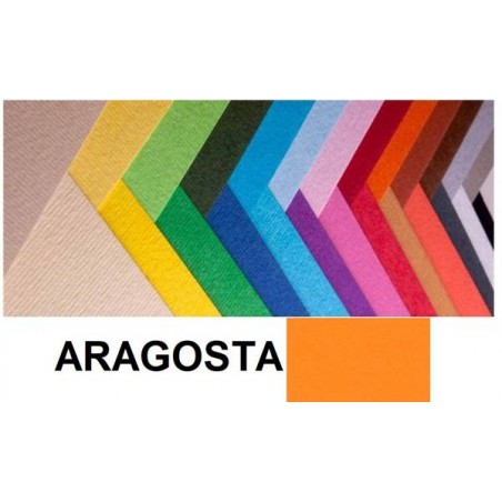 CARTONCINO BRISTOL 50x70cm 200gr ARAGOSTA FABRIANO