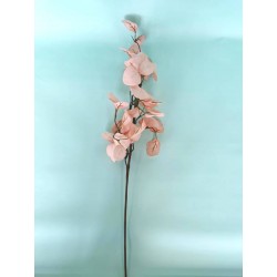 RAMO EUCALYPTUS 73cm ROSA CIPRIA