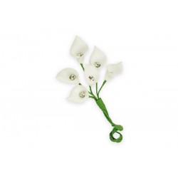 PICKS CALLA BIANCA C/STRASS 12pz