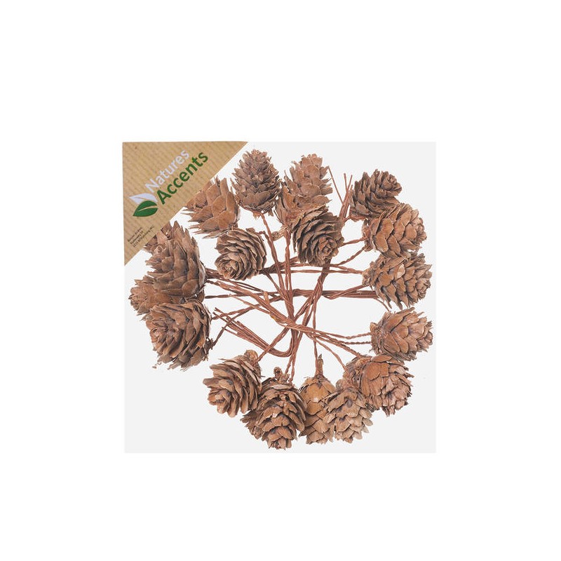 PICKS PIGNE NATURAL C/FILO IN BOX