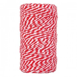 CORDINO BICOLORE mm2x100mt ROSSO/BIANCO